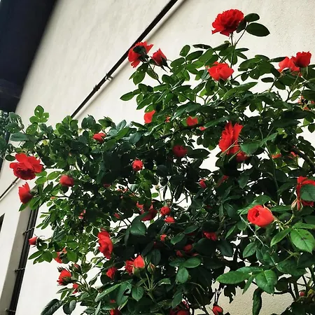 Due Fiumi 1908 Bed & Breakfast