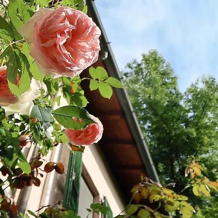 Due Fiumi 1908 Bed & Breakfast Travaco Siccomario